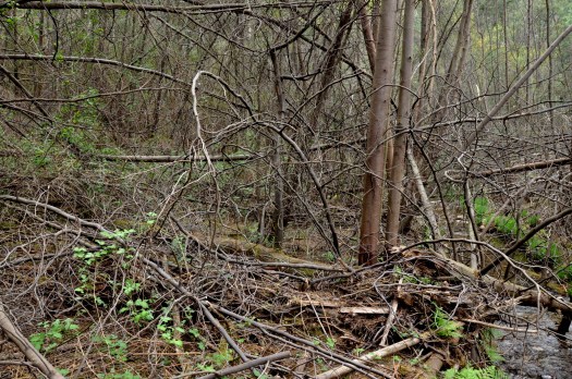 Ainda na margem sul Abril
