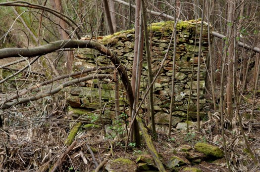 Moinho em ruinas, ainda na margem sul. Abril