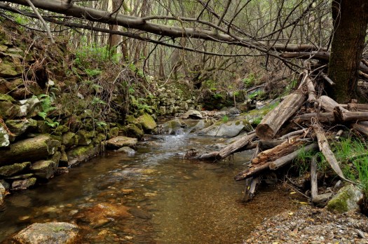 Sinais de antiga intervenção humana. Abril