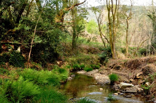 Ao chegar à antiga área agrícola mais extensa do Feridouro
