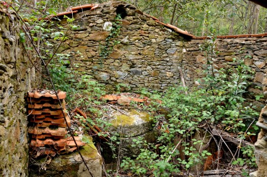 Moinho de água. Abril