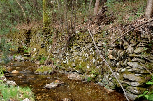 Belo muro, a montante do Vale de S. Francisco. Abril