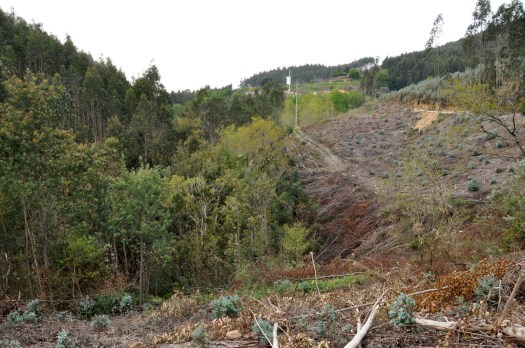 Vista para jusante, a partir do Vale de Salgueiro. Abril