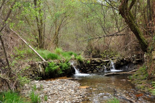 Pequena represa, de onde partia a levada