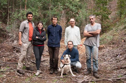 Pelo início da tarde, tirou-se a foto 