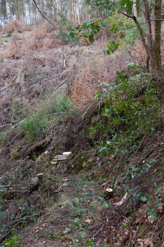 Já se podia andar pela antiga levada