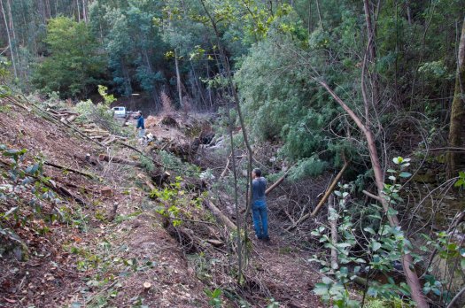 Trabalhos de remoção de lenha do próprio leito do ribeiro