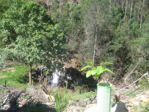 13094162_718173954991421_6832943344946844197_n