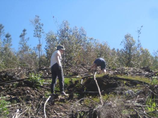 13103288_718162891659194_3112443525621017301_n