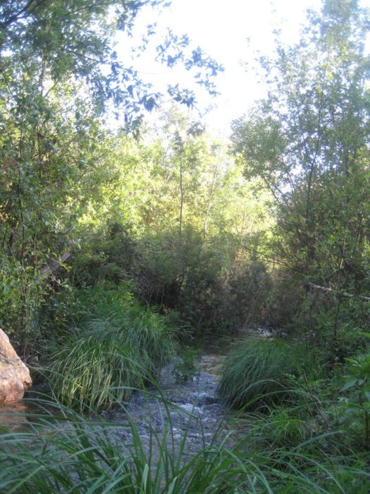 13118984_718175784991238_940633944327528846_n