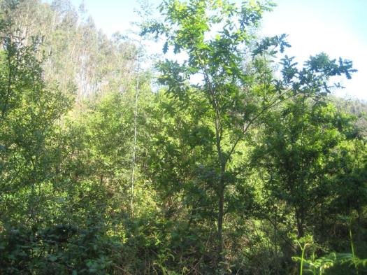 13124603_718173891658094_7148447956109078125_n