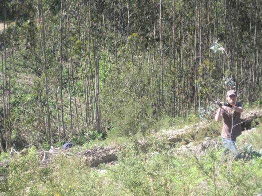 13139049_718163648325785_3654081745322217325_n