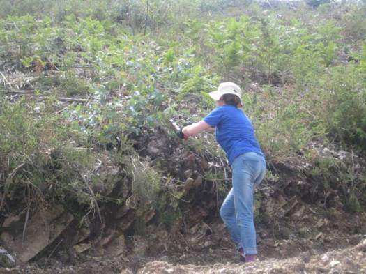 13165955_727779720697511_2057601587682556775_n