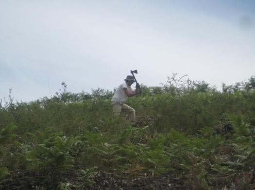 13240752_727779704030846_607335900429826166_n