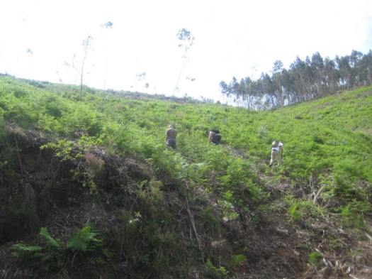 13263756_727779714030845_4342659253058072327_n