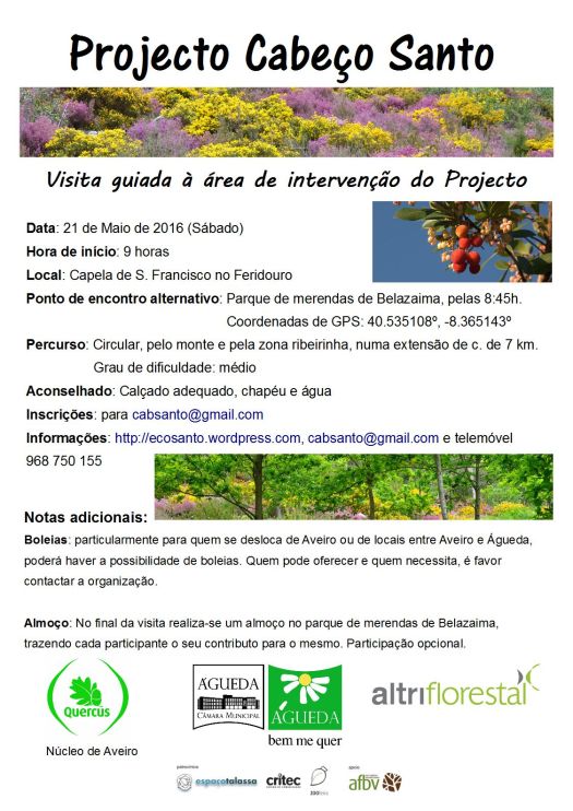 cartaz de visita 2016