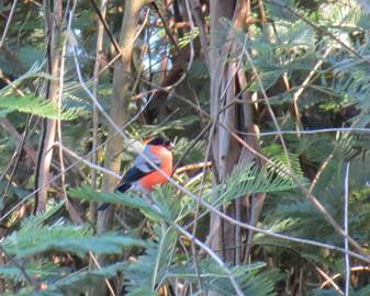 cid_image002_jpg01d24a1c