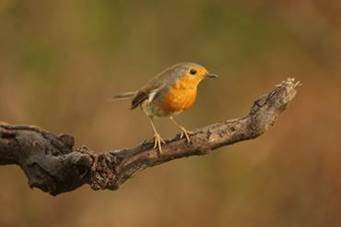 cid_image003_jpg01d24a1f