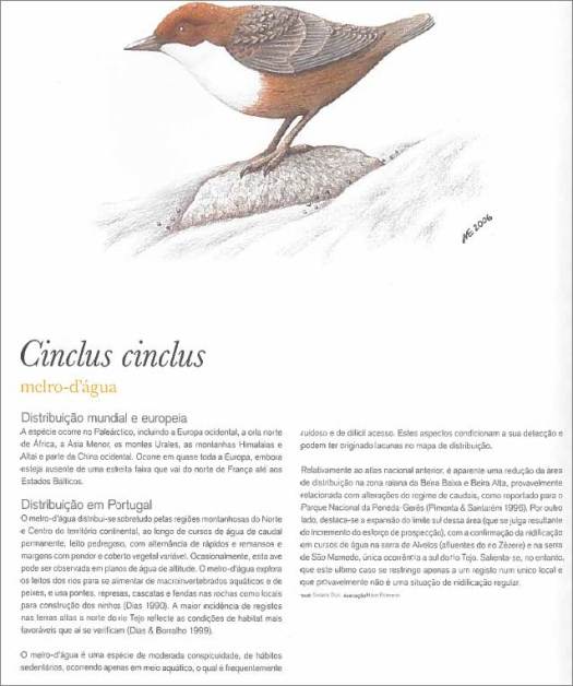 cid_image004_jpg01d24a1f