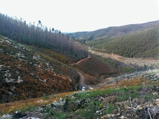 23972595_1493189067461900_1872720120_n