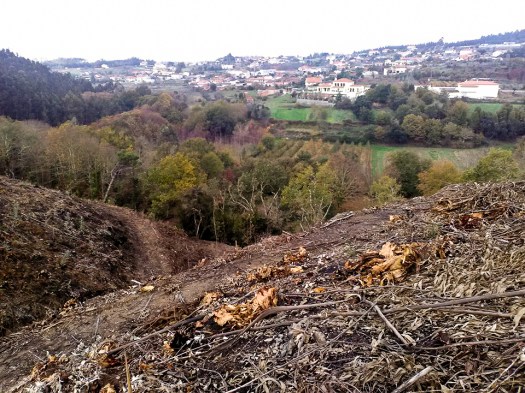 24008681_1493227484124725_1379123979_n