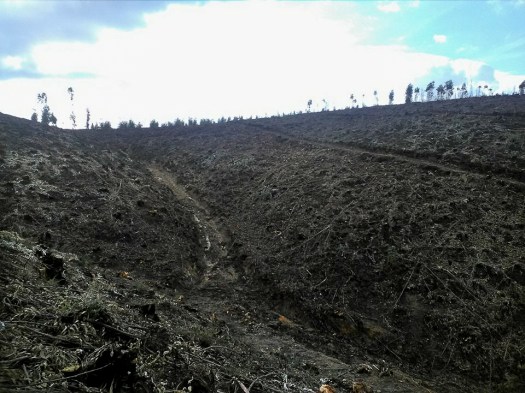 24019778_1493227584124715_531519600_n