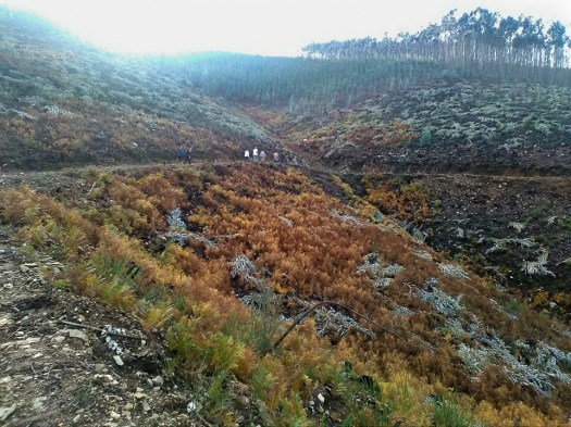 24020083_1493226314124842_1283227578_n