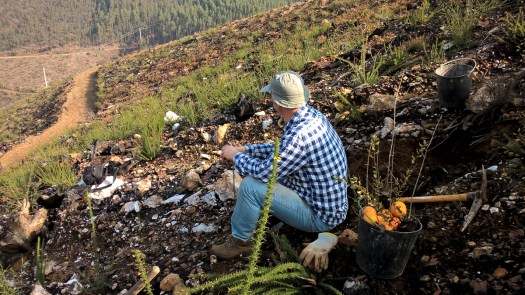 WP_20180217_10_47_20_Pro