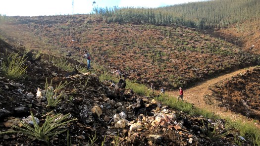 WP_20180217_10_47_28_Pro