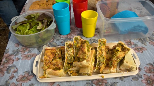 WP_20180217_12_29_00_Pro