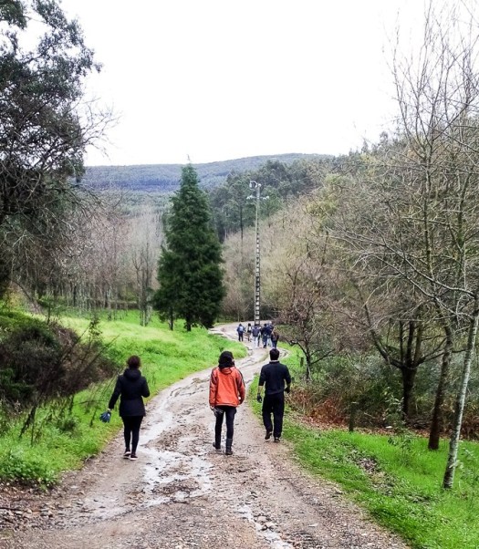 IMG_20180317_094014_edited