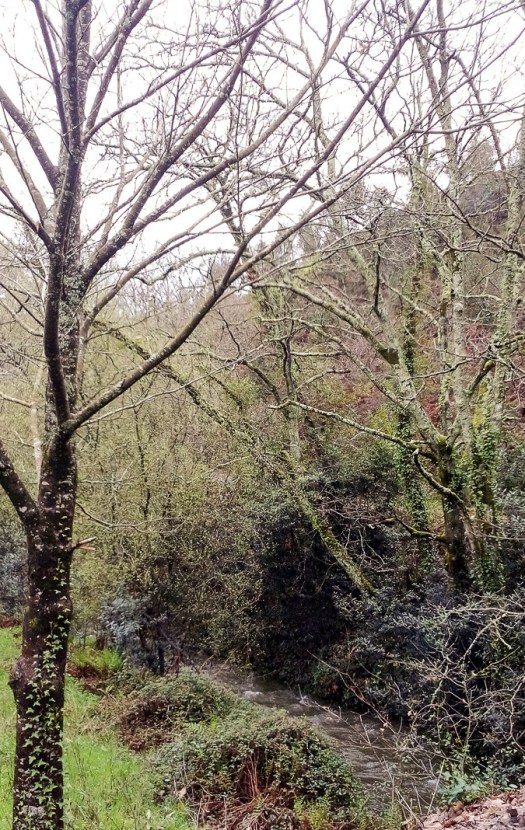 IMG_20180317_094140_edited