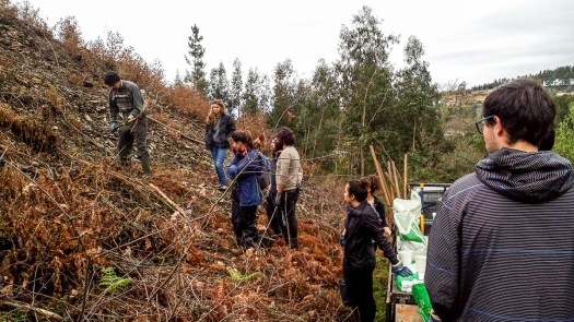 IMG_20180317_095211_edited