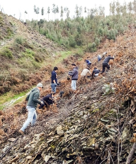 IMG_20180317_101040_edited