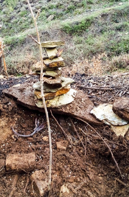 IMG_20180317_105930_edited