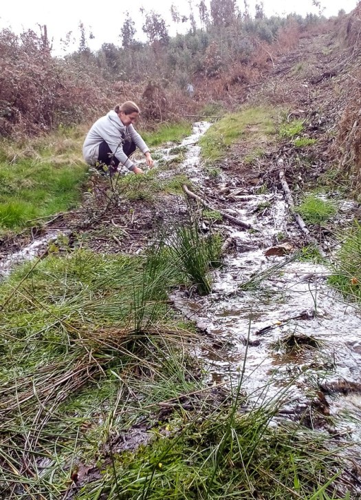 IMG_20180317_123526_edited