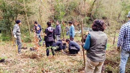 IMG_20180317_145547_edited