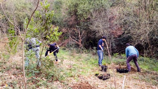 IMG_20180317_150504_edited