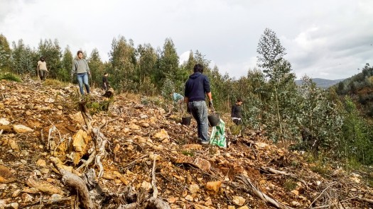 IMG_20180317_163844_edited