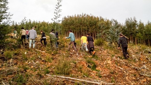 IMG_20180317_172627_edited