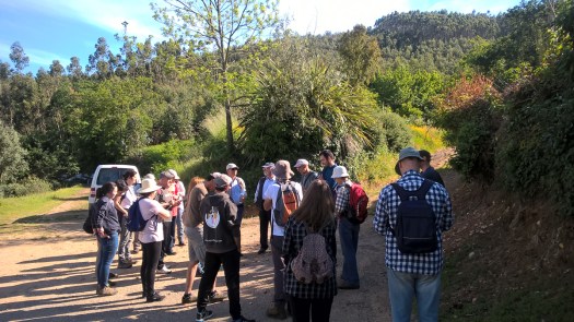 WP_20180519_09_25_24_Pro