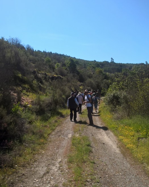 WP_20180519_10_36_32_Pro