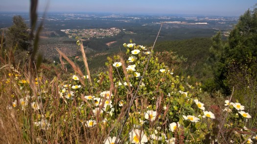 WP_20180519_10_49_08_Pro