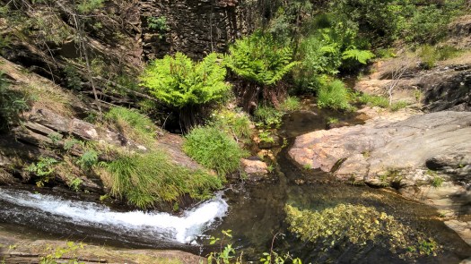 WP_20180519_13_06_13_Pro