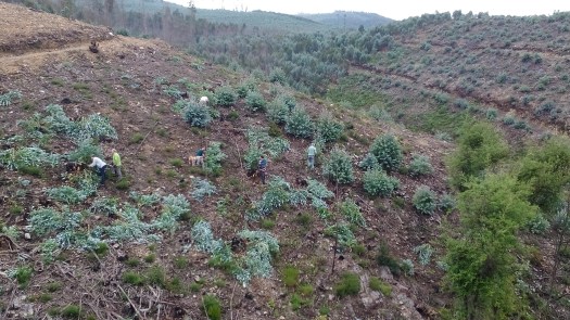 IMG_20180602_115429_edited