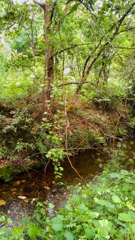 IMG_20180602_125038_edited