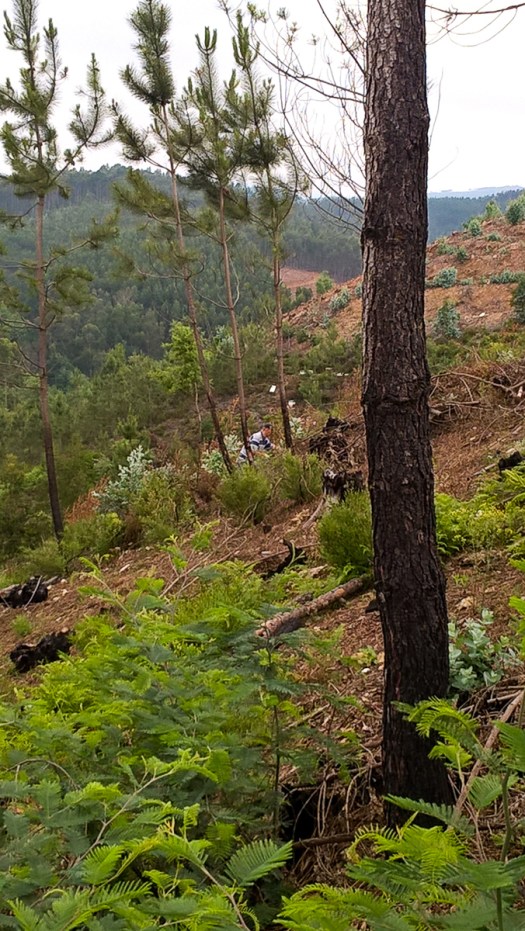 WP_20180602_10_40_13_Pro_LI