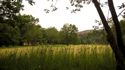 WP_20180602_12_44_31_Pro_LI