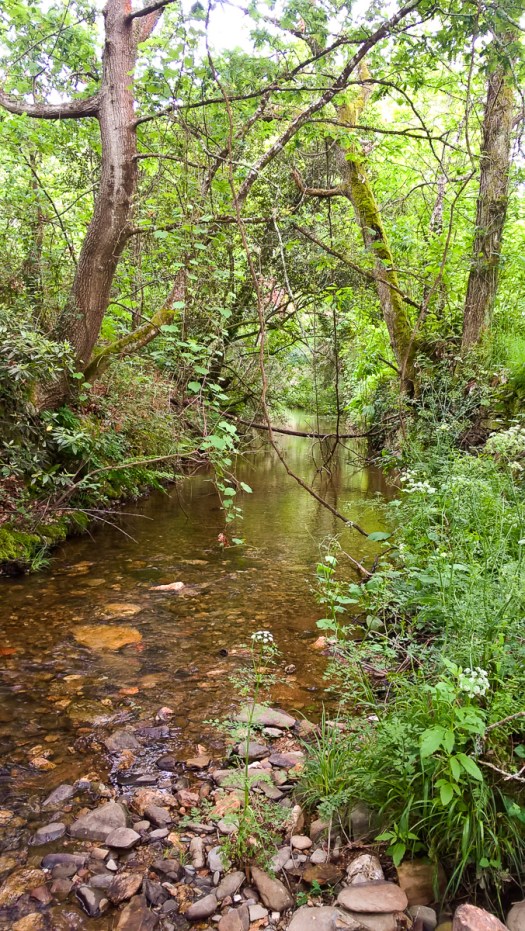 WP_20180602_12_49_53_Pro_LI