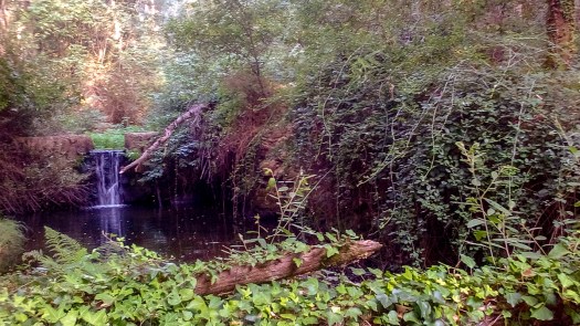 IMG_20180901_181832_edited